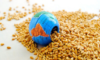 küresel gıda